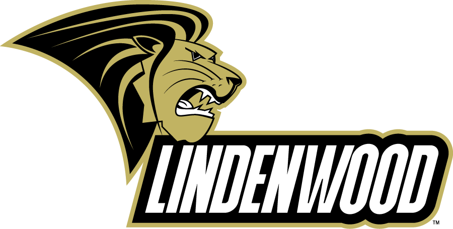 Lindenwood Lions 2010-2018 Primary Logo diy iron on heat transfer